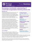Developing a mechanistic understanding of crossmodal reorganization following sensory loss by BrainsCAN, Western University; Blake E. Butler; Brian Allman; and Ravi Menon