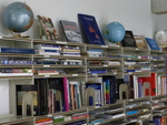 A World in the Shelves by Kathy Ioannidis